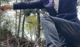 鸟哥视频,揭秘鸟类世界的奥秘与魅力